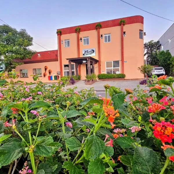 Hotel Niro，位于Montenegro的酒店