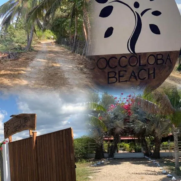 Coccoloba Beach Hotel，位于Dibulla的酒店