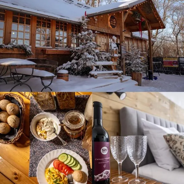 Gospoda Dębowiec520，位于别尔斯克-比亚拉的酒店