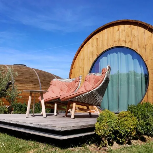 Pacheca The Wine House Hotel e Spa - Quinta da Pacheca，位于拉梅戈的酒店