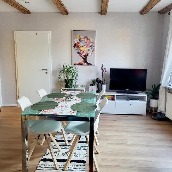 Radler-Rast am Elberadweg, 3 Schlafzimmer，位于Rogätz的酒店