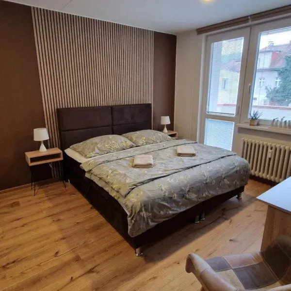 Apartman Valentina，位于兹林的酒店