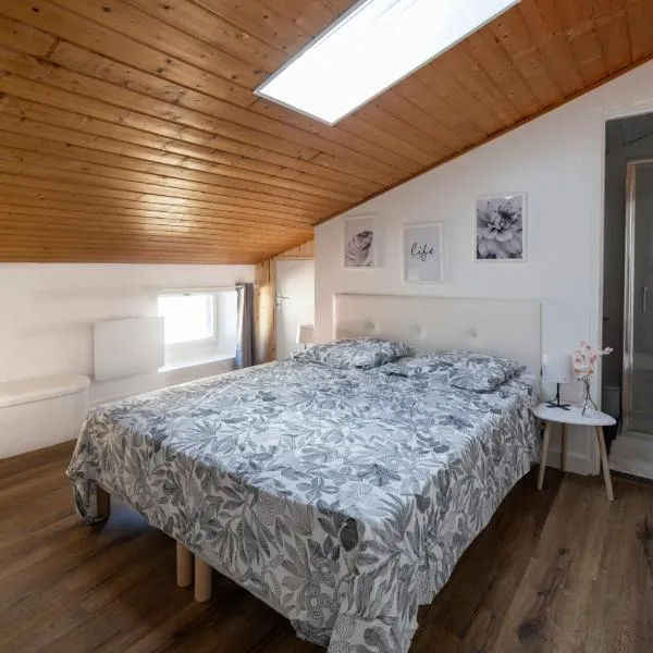 Duplex cosy à Mirepoix centre, tout confort，位于米雷普瓦的酒店
