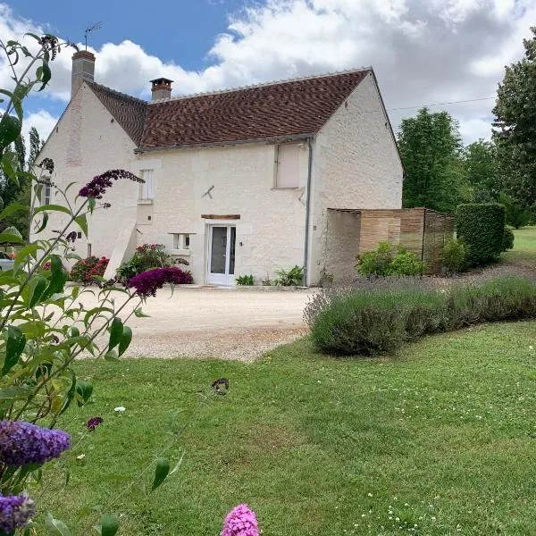 Gîte du Vignoux 10 min du Zoo Beauval,位于Couffy的酒店