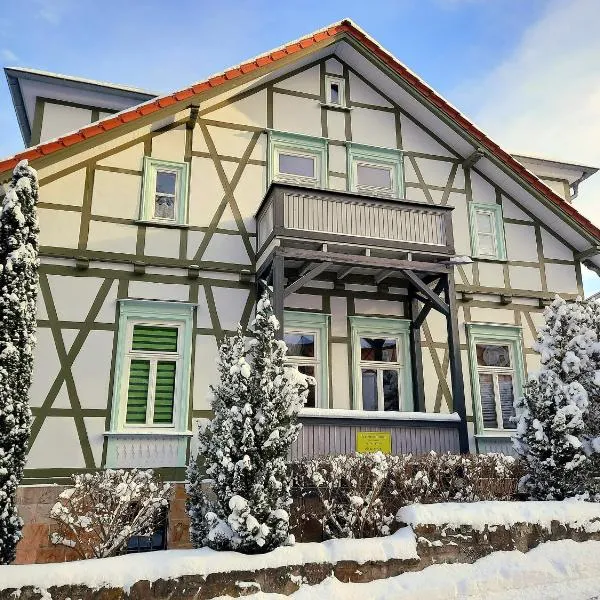 Ferienwohnung Berthold WG 3，位于布兰肯堡的酒店