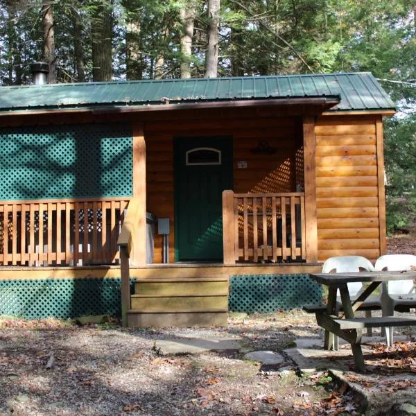 Hominy Ridge Cabins and Gift Shop，位于Sigel的酒店