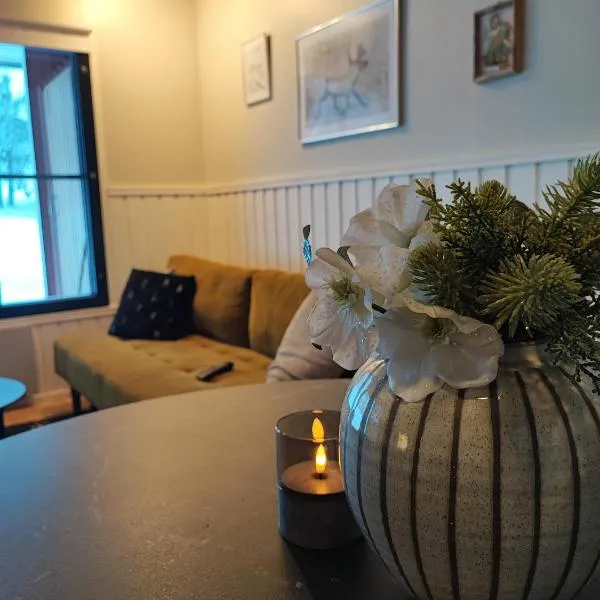 Talitintti Levi, 1 bedroom apartment，位于列维的酒店