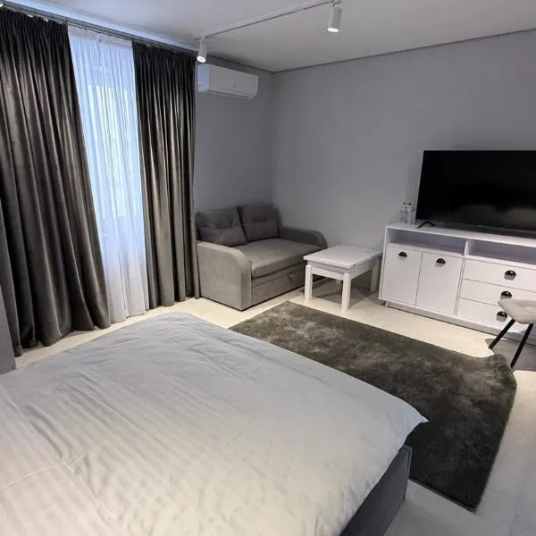 Hostel VinoGrad，位于Haysyn的酒店