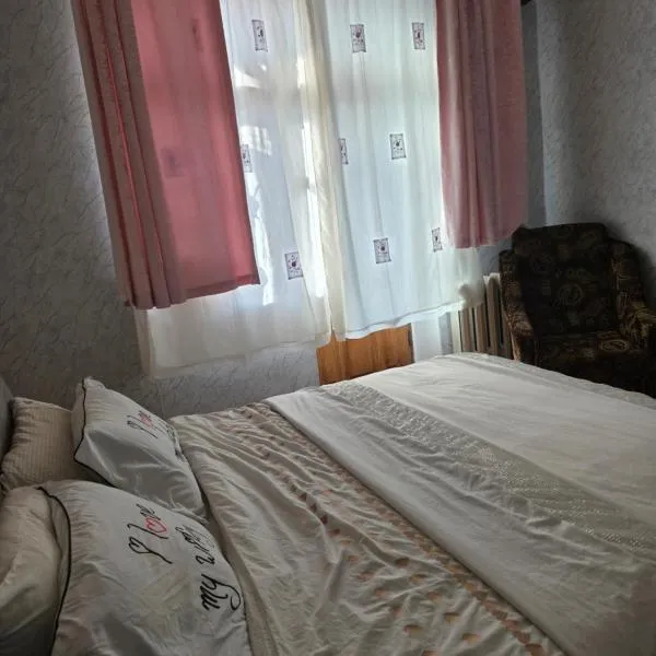 2 комнатные аппартаменты на бульваре Пушкина，位于克列缅丘格的酒店