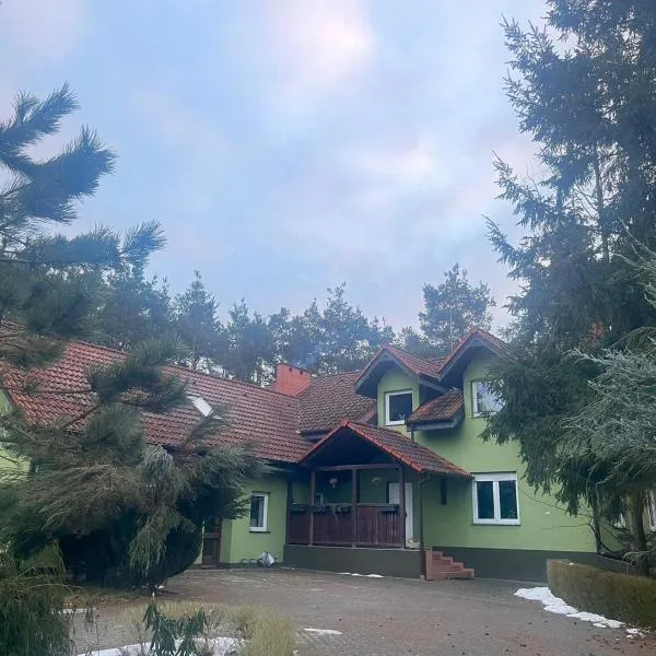 Agroturystyka OLD ROAD 11，位于Niedźwiedź的酒店