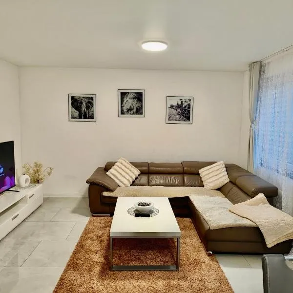 Rio Home，位于Büsingen的酒店