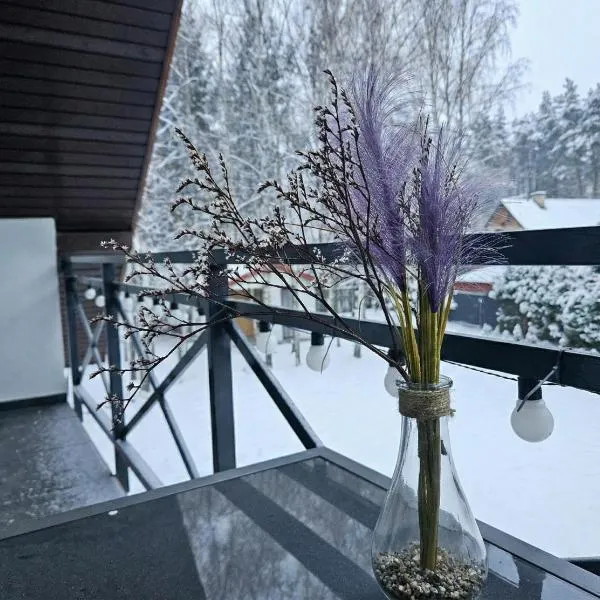 SAN ESCOBAR sauna jacuzzi jezioro，位于Rogowo的酒店