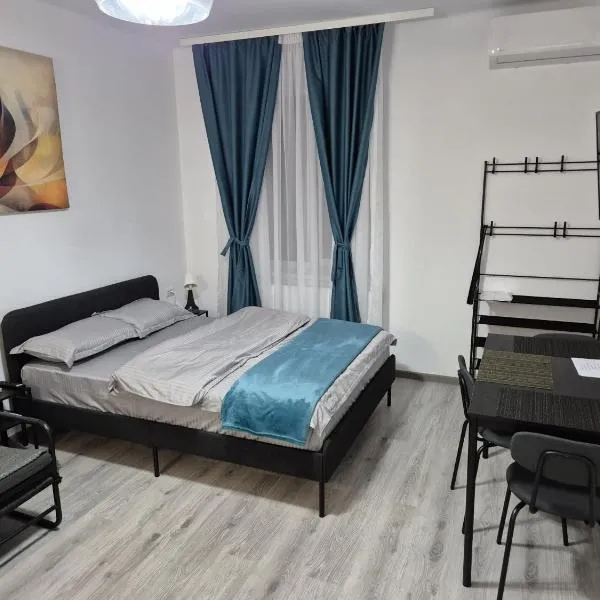 Otopeni Airport Cozy Rooms，位于奥托佩尼的酒店