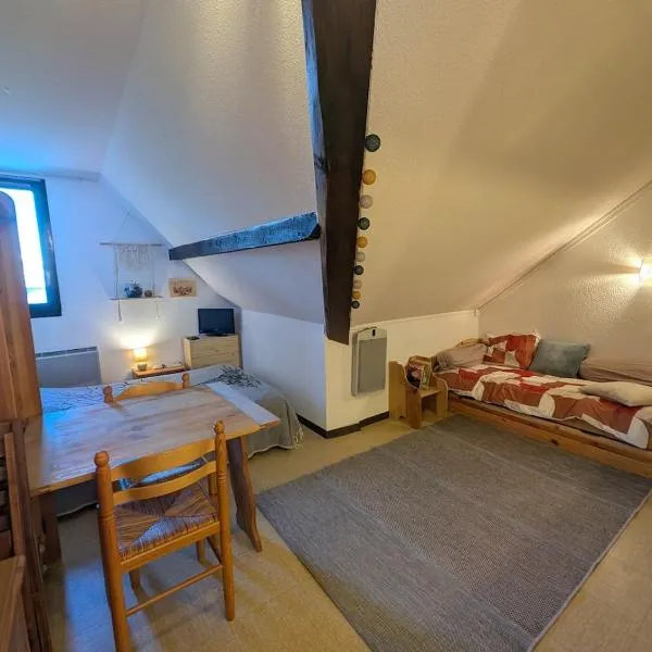 Studio pied des pistes，位于雷阿隆的酒店