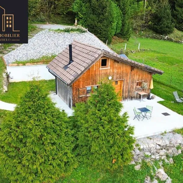 Petit chalet en bois avec mezzanine en montagne，位于Marignier的酒店