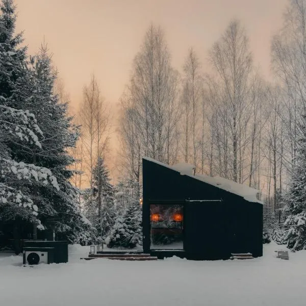 Briežu Stacija Forest Cabin with Hot Tub，位于利加特内的酒店