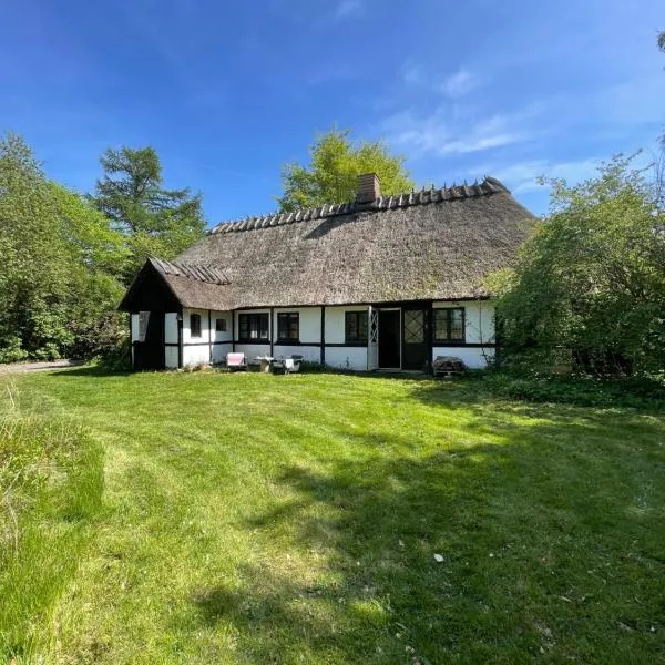 Guest house Æbelnæs, Møn，位于斯泰厄的酒店