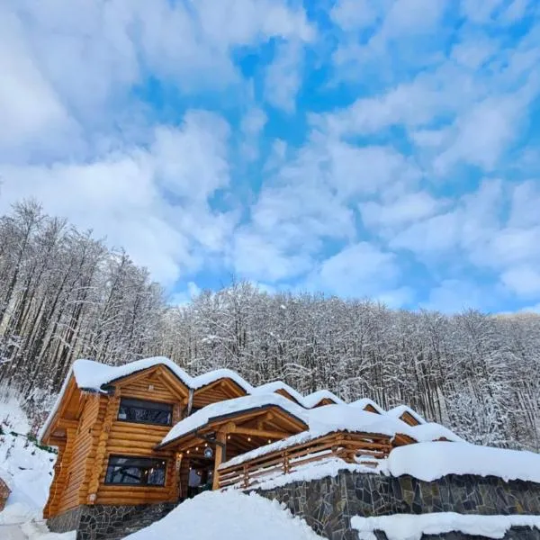 Barlogul Ursului，位于巴亚马雷的酒店