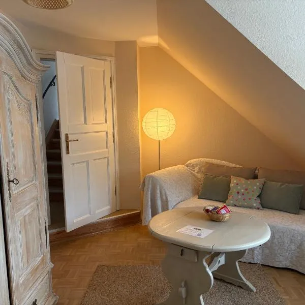 弗莱尔尼斯酒店，位于莱姆库伦的酒店