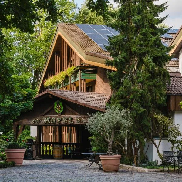Waldgasthof am Letten，位于Letten的酒店