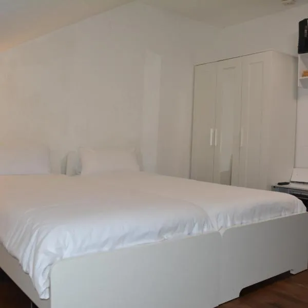 GQ Deluxe Apartment，位于萨尔布吕肯的酒店