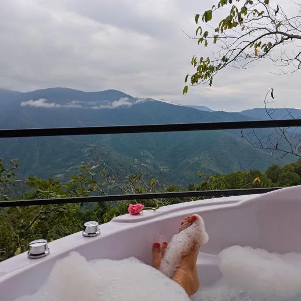 cottage panorama merisi，位于Inasharidzeebi的酒店