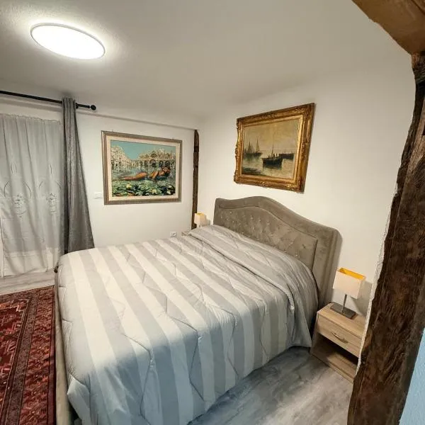 Locanda Quattro Ducati - Art Apartments，位于Owen的酒店