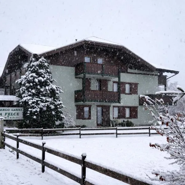 Chalet La Felce，位于卡里索洛的酒店
