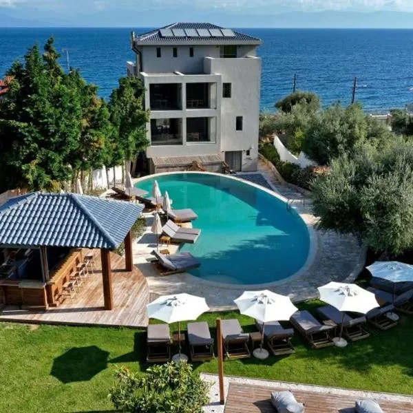 Alissachni SeaSide Hotel，位于泽尔韦尼翁的酒店