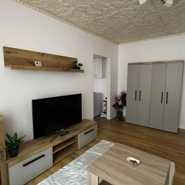 Sylvia Residence,位于Lupeni的酒店