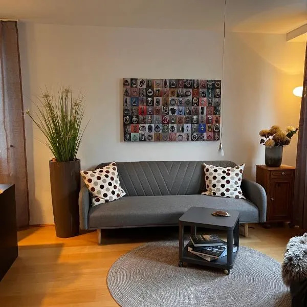 2-Raum-Appartment Nähe alte Maschienenhalle GUT Solingen, gute Anbindung ÖPNV，位于索林根的酒店