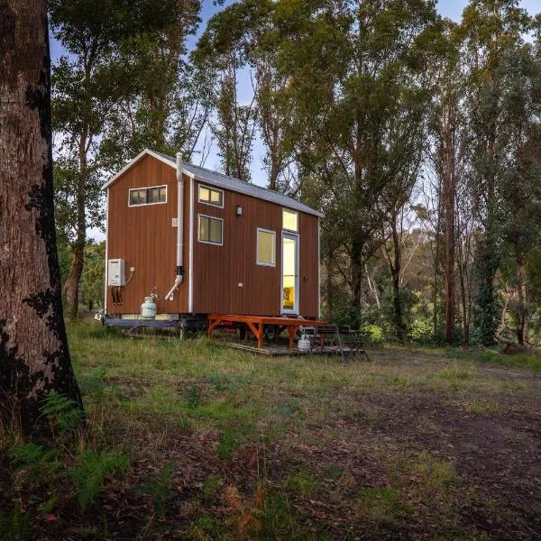 Raintree Farmstay by Tiny Away，位于Sarsfield的酒店