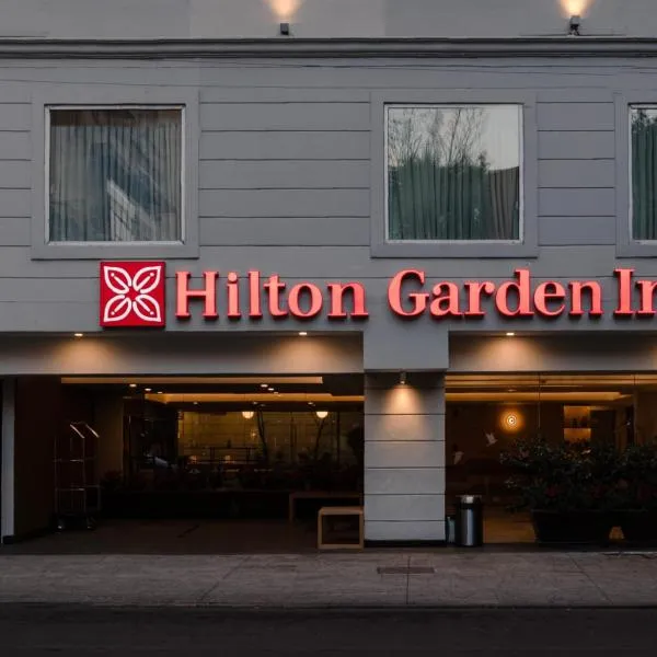 Hilton Garden Inn Mexico City Polanco，位于墨西哥城的酒店