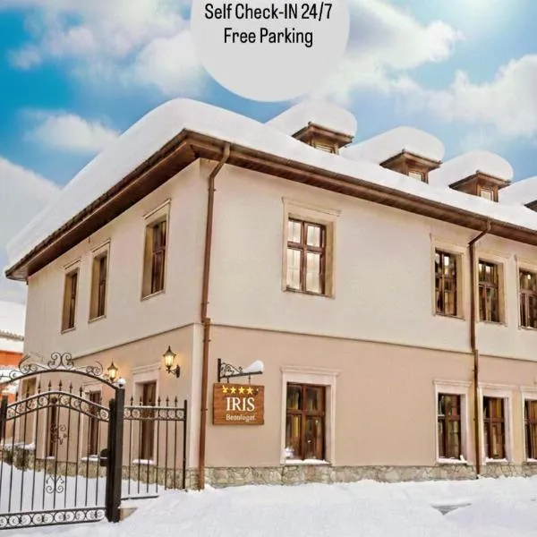 IRIS BOUTIQUE - 4Star Bed & Breakfast Residence in Vatra Dornei，位于瓦特拉多尔内的酒店