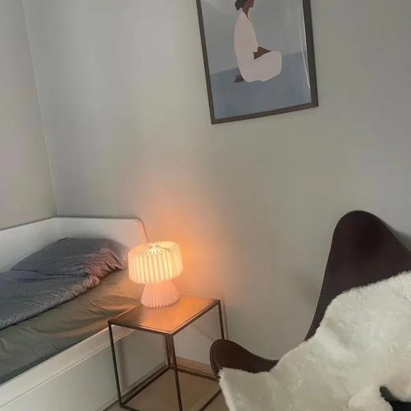 Cozy private room centrally in Jessheim，位于杰西姆的酒店