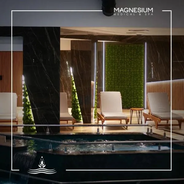 Magnesium Medical & SPA，位于Vinica的酒店