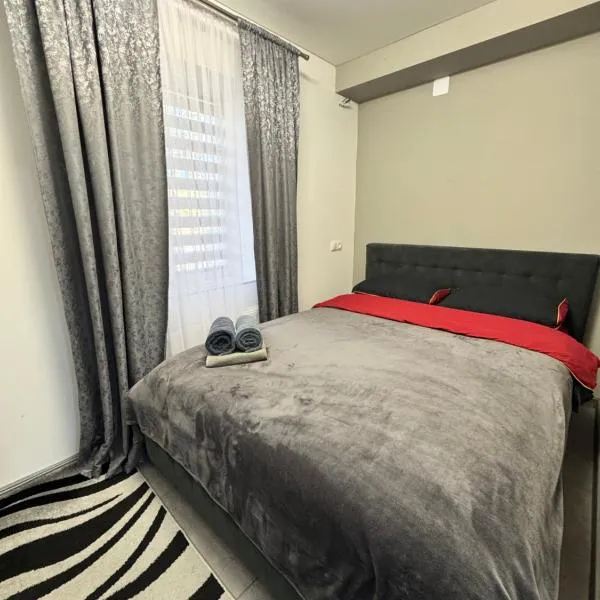 Apartament Edinet，位于埃迪内茨的酒店