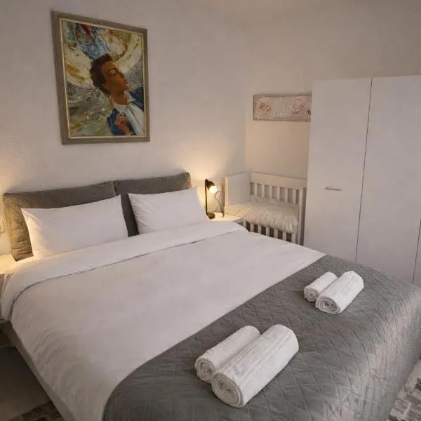 Boheme Studio，位于蒂米什瓦拉的酒店