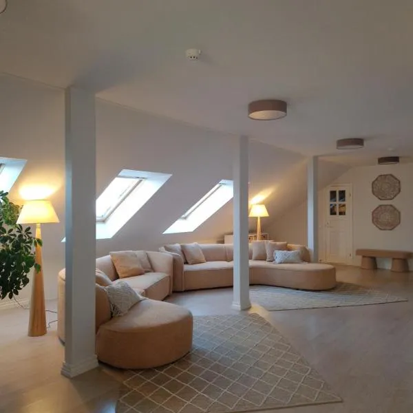 劳奈克斯公寓，位于哈普萨卢的酒店