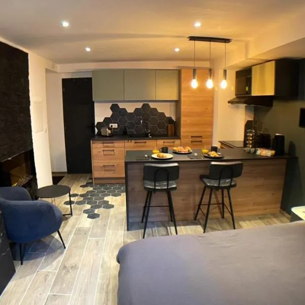Votre studio cozy au cœur de Manosque，位于马诺斯克的酒店