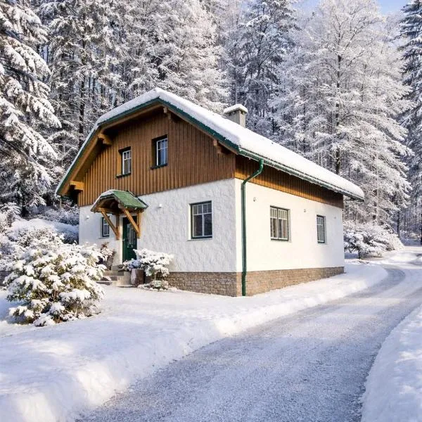 Ferienhaus Saxenauer，位于茵特斯托德的酒店