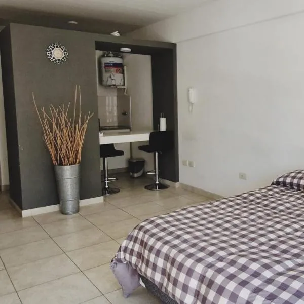 Bahía Rental 7-Departamento x dia con cochera，位于布兰卡港的酒店