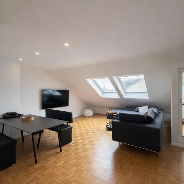 Modernes Dachgeschossapartment in Singen Zentrum，位于辛根的酒店
