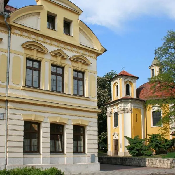 卡萨诺瓦酒店，位于Český Jiřetín的酒店