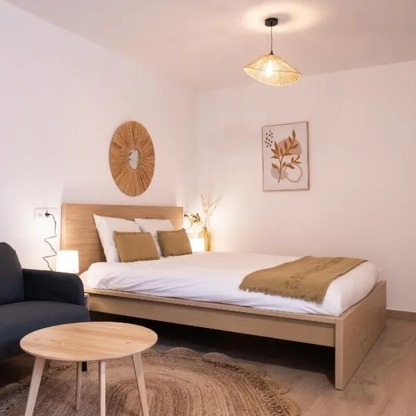 Studio chic proche aéroport et centre-ville，位于沙勒罗瓦的酒店