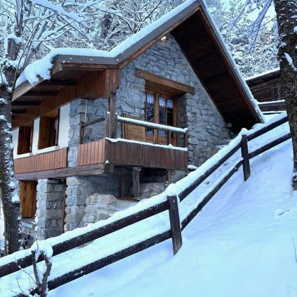 Refuge-style chalet Mountain view，位于科尔马的酒店