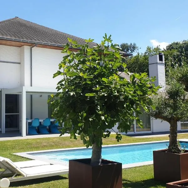Guesthouse Thibault，位于希斯特尔的酒店