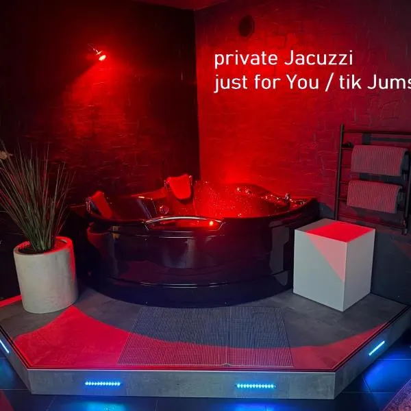Jacuzzi Cinema Loft，位于考纳斯的酒店