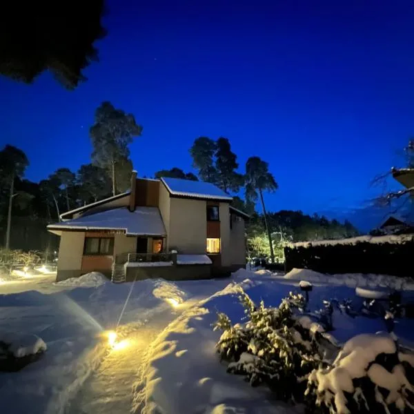 Kulautuva Park Apartments，位于Kulautuva的酒店