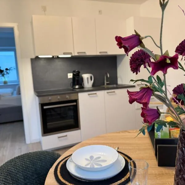 Liya Apartments，位于Aiterhofen的酒店
